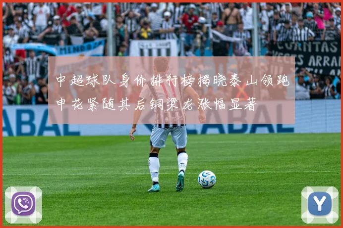 中超球队身价排行榜揭晓泰山领跑申花紧随其后铜梁龙涨幅显著